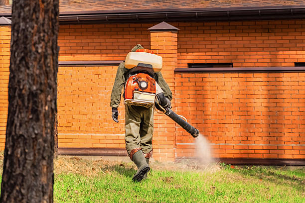 Trusted Cockroach Control service in Pomona, NJ - Nex Pest Control
